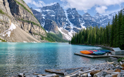 Embracing Seasonal Change: How Lake Livingston Captures the Beauty of Winter