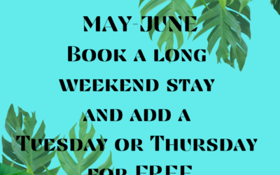 Terrific “T’s”