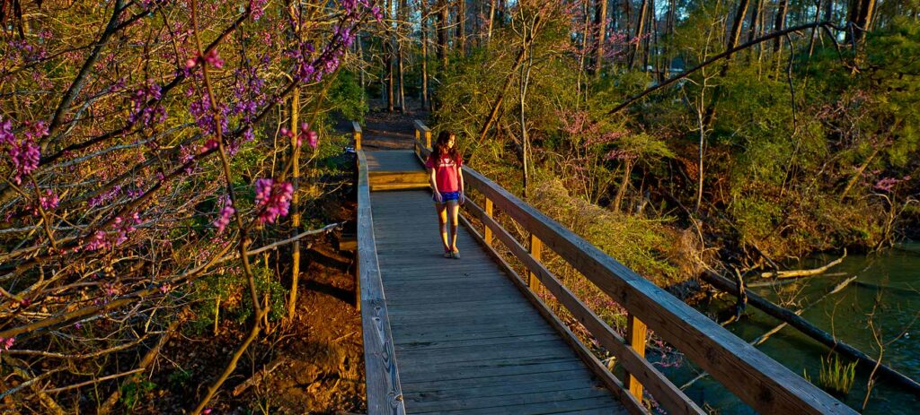 Lk livingston state park