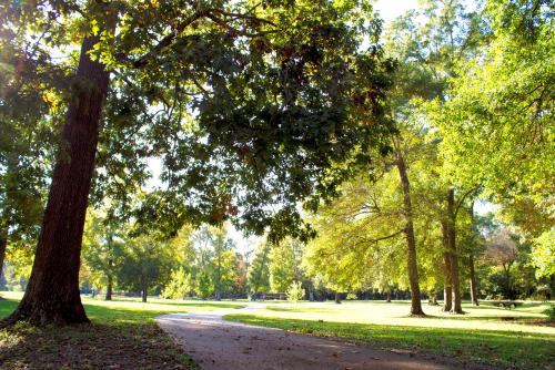 Matthews street park