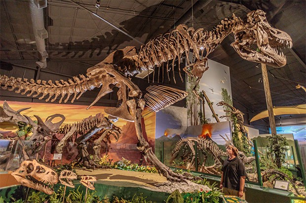 Thumbnail naranjo museum 3