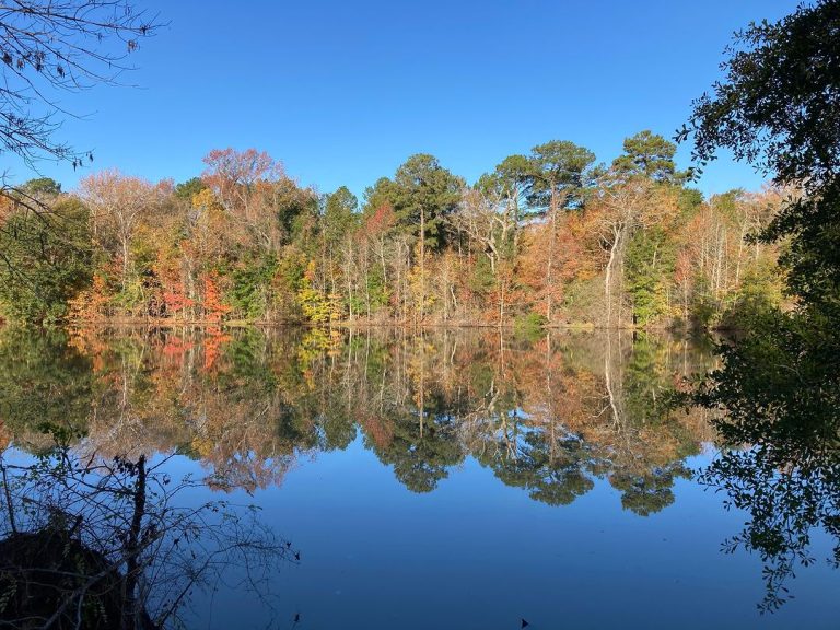 Wow sometimes the views along this creek are breathtaking 768x576 1