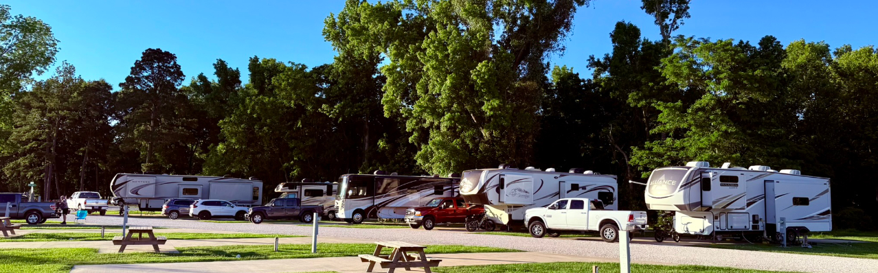 Rvs lined up camping