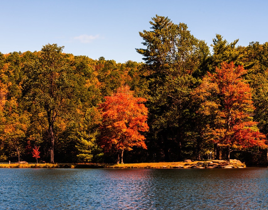 An rv park takes shape | two creeks crossing resort Explore lake livingston state park two creeks crossing resort