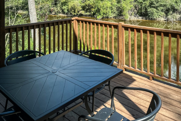 Extra cabin back porch view